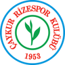 Rizespor badge