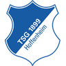 1899 Hoffenheim badge