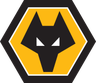 Wolves badge