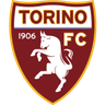 Torino badge